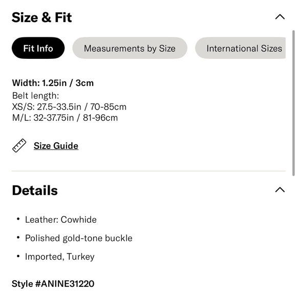 Anine Bing signature link belt - Picture 5 of 5